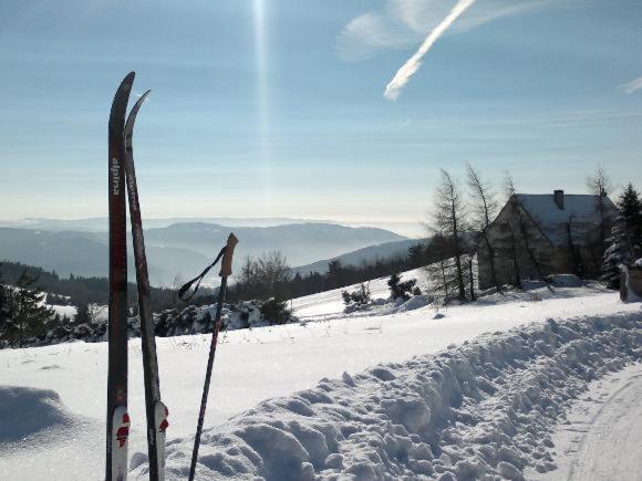 Apartmany Forest Kovářská Dış mekan fotoğraf
